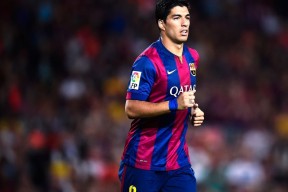 新手入门指南：悟空体育app官网入口