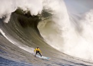 平台使用技巧中悟空体育的表现使用指南