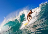 悟空体育手机版官网入口平台服务介绍全面解析