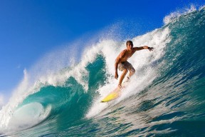 悟空体育手机版官网入口平台服务介绍全面解析