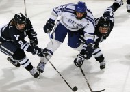 新手入门指南：悟空体育app官网入口