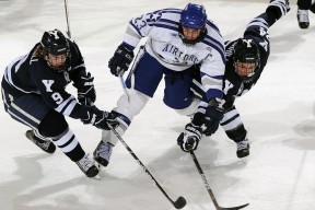 新手入门指南：悟空体育app官网入口